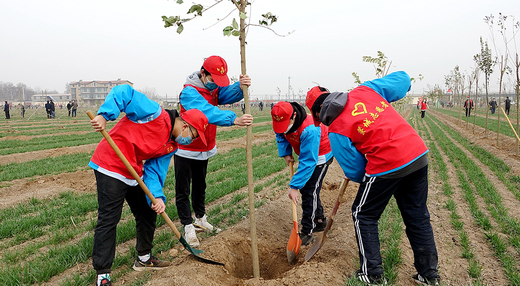 深圳植树节活动策划方案 图3