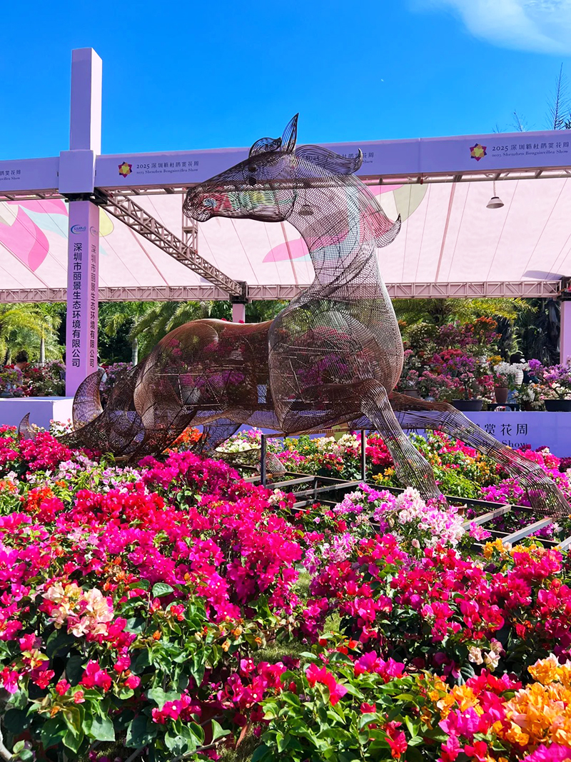 莲花山花展如何“撑起”那一片艺术天空?