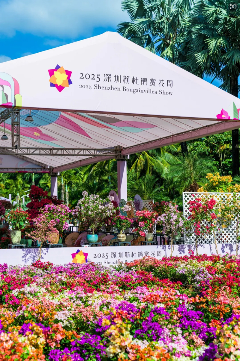莲花山花展如何“撑起”那一片艺术天空?