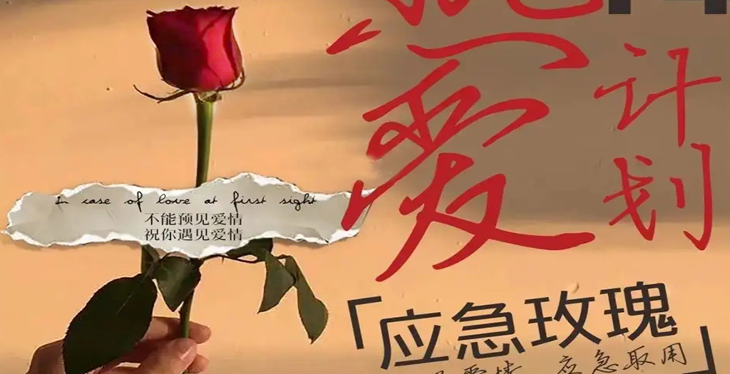 深圳商场-地产-情人节活动策划方案图2